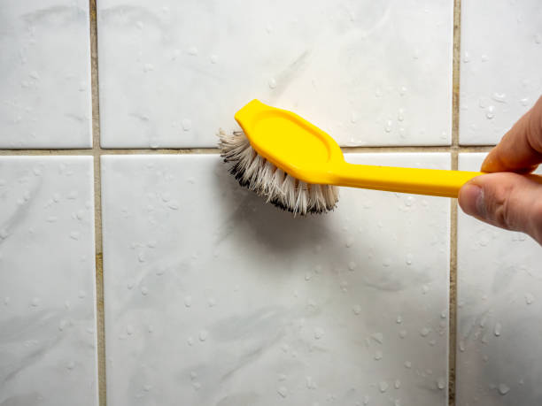 Best Mold Cleaning Services  in East Palo Alto, CA